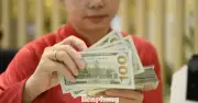 Áp lực tỷ giá giảm: USD hạ nhiệt, VNĐ được hỗ trợ từ chính sách Fed