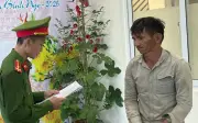 Quảng Ngãi: Khởi tố đối tượng vừa quản lý sau cai nghiện vừa bình luận thách thức công an