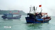 Quảng Ngãi đặt mục tiêu khai thác hơn 260.000 tấn hải sản vào năm 2026