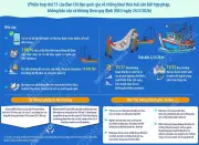 Ra soát, đánh giá toàn diện việc thực hiện nhiệm vụ chống khai thác IUU