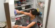 Rút điện tủ lạnh khi về quê Tết: Chuyên gia cảnh báo sai lầm phổ biến
