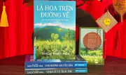 Sách của nhà sư Thích Pháp Hòa: Giải mã lý do nhân quả không đến ngay
