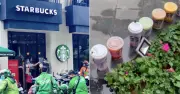 Shipper hỏi cách mua Starbucks rẻ, nhận quà sinh nhật bất ngờ từ thương hiệu