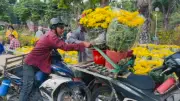 Shipper Tất Bật Chở Hoa Ngày Cận Tết: Nhịp Sống Hối Hả Trên Phố
