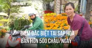 Sạp hoa Tết TP.HCM bán hơn 500 chậu mỗi ngày nhờ giá 'yêu thương'