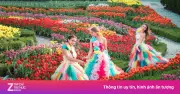 Sun World Ba Na Hills Khai Mạc Lễ Hội Tulip Trên Mây Quy Mô Lớn Nhất Với 1 Triệu Bông