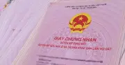 Đất lấn chiếm hơn 15 năm, xin cấp sổ đỏ vẫn có thể bị xử phạt hành chính