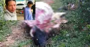 Thanh Hóa: Khởi tố 2 thanh niên trộm trâu, xẻ thịt bỏ lại đầu và nội tạng