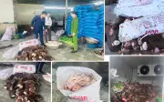 Thanh Hóa phát hiện gần 6 tấn thực phẩm bẩn, Đà Lạt tạm đình chỉ hiệu trưởng