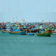 Thanh tra EC sắp vào Việt Nam kiểm tra IUU lần thứ 5, ngành thủy sản chạy đua chuẩn bị