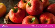 Thải Độc Cơ Thể Hiệu Quả: Bí Quyết Từ Các Loại Trái Cây Tự Nhiên