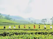 Thái Nguyên: Du lịch bứt phá với 7,3 triệu lượt khách, hướng tới mục tiêu 8 triệu năm 2026