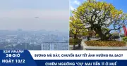 Sương mù dày đặc ảnh hưởng nhiều chuyến bay Tết tại miền Bắc và Bắc Trung Bộ