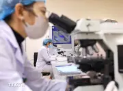 Thành phố Hồ Chí Minh vẫn 'khát' nhân tài và lời giải từ cơ chế đặc thù