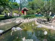 Thảo Cầm Viên Sài Gòn đông nghịt người dịp Tết, giá vé vẫn ổn định