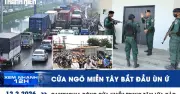 Tin Nhanh 12h: Phạt Chở Hành Lý Trên Nóc Xe, Khoa Pug Phá Sản, Sạp Hoa Tết Đắt Khách