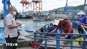 TP.HCM siết chặt quản lý đội tàu, sẵn sàng đón đoàn EC kiểm tra IUU