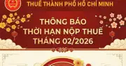 TP.HCM thông báo hạn nộp thuế tháng 2/2026 là ngày 23/02, sau kỳ nghỉ Tết