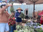 TP.HCM tấp nập mua sắm Tết, giá trái cây tăng gấp 2-3 lần ngày thường