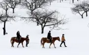 Trải Nghiệm Cưỡi Ngựa Trên Tuyết Hokkaido: Bình Yên Giữa Miền Quê Nhật Bản
