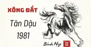 Tuổi Xông Đất Năm 2026 Cho Gia Chủ Tân Dậu 1981: Hài Hòa Ngũ Hành Và Yếu Tố Con Người
