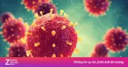 Việt Nam chưa ghi nhận virus Nipah, nhiều bệnh truyền nhiễm khác có xu hướng gia tăng