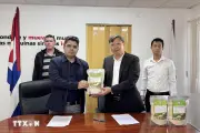 Việt Nam hỗ trợ Cuba đảm bảo an ninh lương thực trong bối cảnh khó khăn