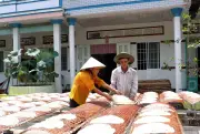 Vĩnh Long làm mới thương hiệu bánh tráng Cù Lao Mây trăm năm tuổi