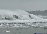 Thời tiết ngày 10/2: Nhiều khu vực biển có gió giật mạnh, sóng cao