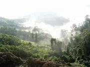 Xa Xăm Gõ Cửa: Từ Thi Ca Đến Thực Tế Hành Chính Và Công Nghệ Tương Lai