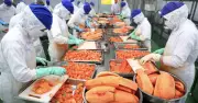 Xuất khẩu rau quả Việt Nam tăng gấp đôi, hướng tới mục tiêu 10 tỉ USD