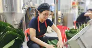 Người trẻ gói bánh chưng thuê, kiếm tiền triệu dịp cận Tết