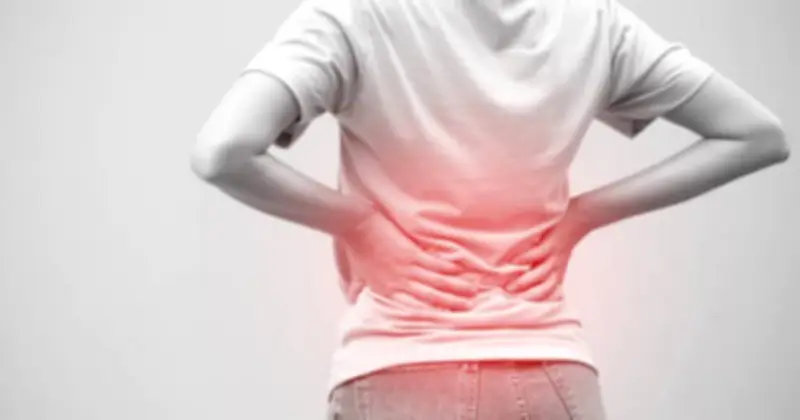 2 Cách Đơn Giản Giúp Phụ Nữ Mãn Kinh Bảo Vệ Xương Khớp Hiệu Quả