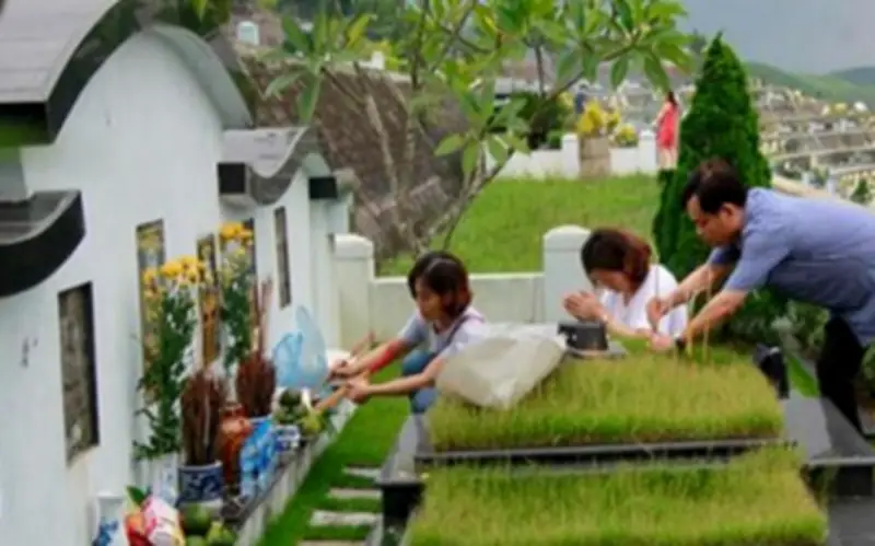 2 Ngày Đẹp Nhất Năm 2026 Để Đi Tảo Mộ Thanh Minh: Năng Lượng Cao, Tiện Lợi