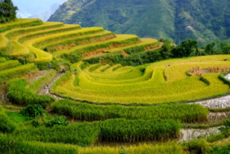 28 Quốc Gia Đẹp Nhất Thế Giới: Vị Trí Của Việt Nam Trên Bản Đồ Du Lịch