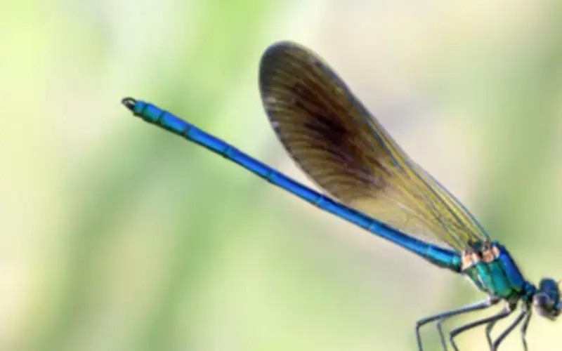 3 Khung Giờ Sinh Âm Lịch Mang Phúc Khí, Trẻ Lớn Lên Bình An, Cuộc Đời Suôn Sẻ