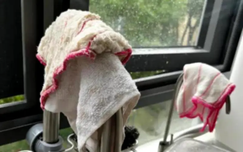 3 vật dụng trong bếp cần thay mới hàng ngày để tránh tích tụ vi khuẩn