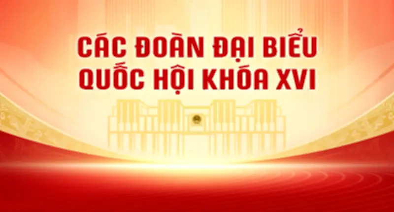 34 Đoàn Đại Biểu Quốc Hội Khóa 16: Cơ Cấu Và Thành Phần Chi Tiết