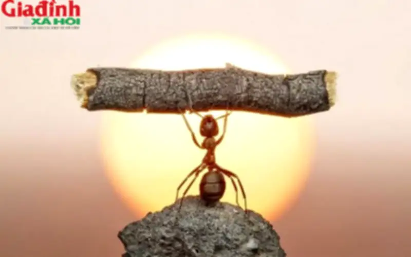 4 Câu Thần Chú Giúp Bạn Vượt Qua Khó Khăn Khi Bế Tắc Trong Cuộc Sống