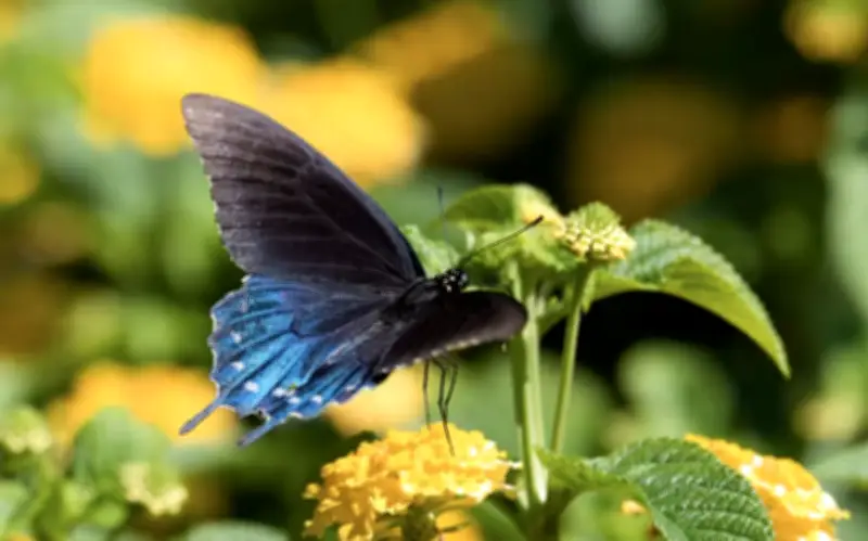 4 Khung Giờ Sinh Âm Lịch Báo Hiệu Cuộc Đời Đủ Đầy, Về Già Được Hưởng Lộc Con Cháu