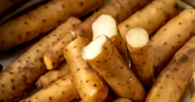 4 Loại Rau Củ Rẻ Tiền Tại Chợ Việt Giúp Bổ Thận, Tăng Cường Sức Khỏe