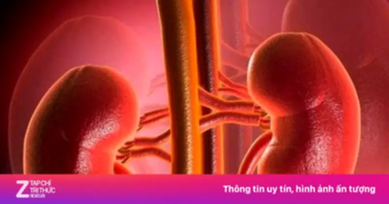 5 Cách Tự Nhiên Bảo Vệ Thận, Giảm Nguy Cơ Suy Thận Hiệu Quả