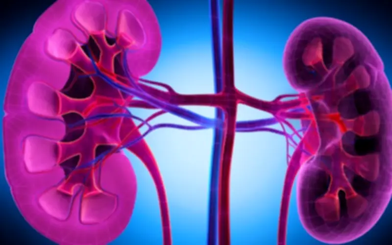 5 Nhóm Người Có Nguy Cơ Suy Thận Cao: Người Việt Cần Biết Để Phòng Tránh