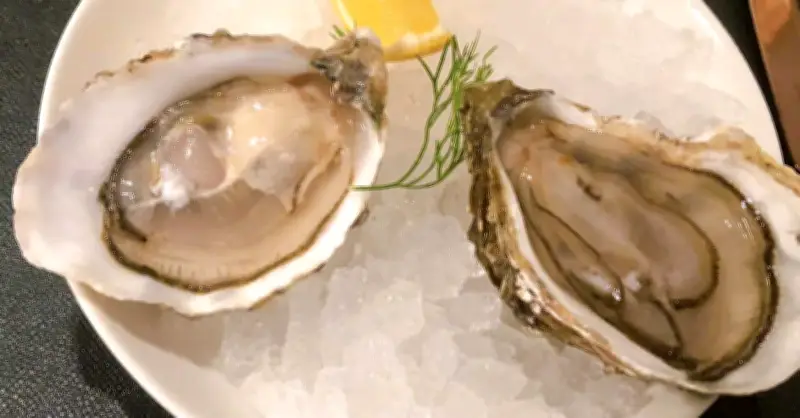 5 Nhóm Thực Phẩm Giàu Vitamin B12 Vượt Trội Hơn Trứng Cho Sức Khỏe