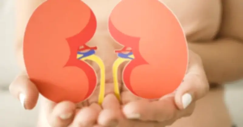 5 thói quen trước khi ngủ có thể làm tổn thương thận mà nhiều người mắc phải