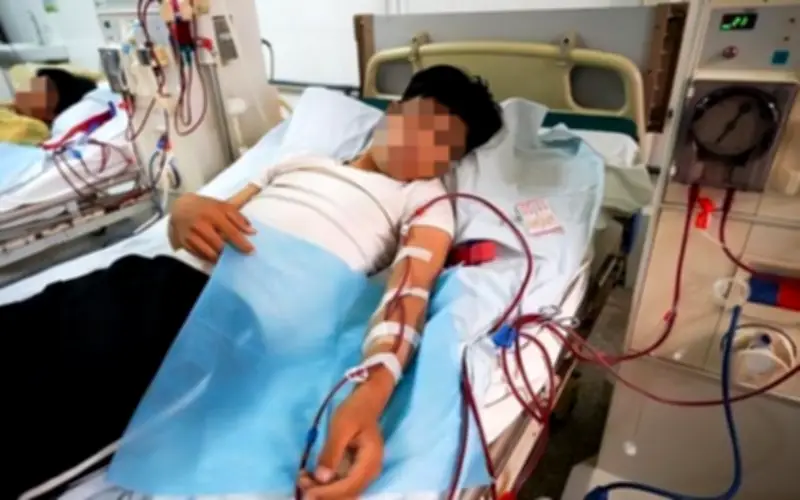 6 Loại Rau Tốt Cho Người Bệnh Suy Thận, Giảm Gánh Nặng Cho Thận