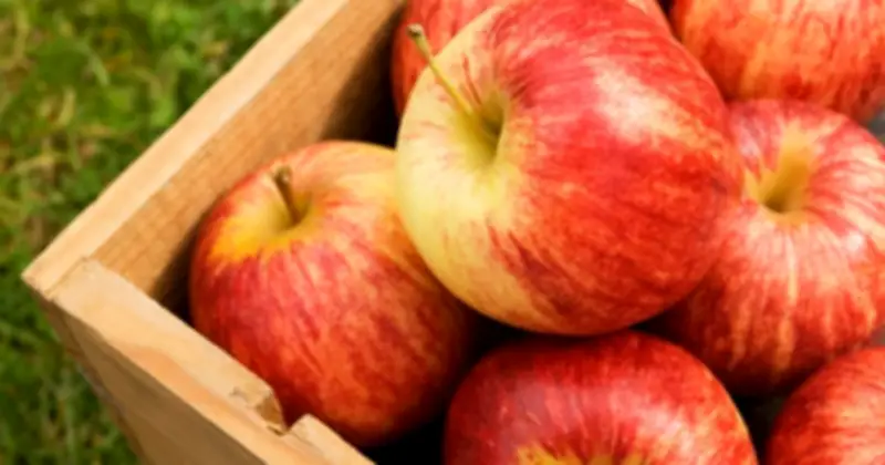 7 Loại Thực Phẩm 'Ưa Thích' Của Niêm Mạc Dạ Dày: Bảo Vệ Hệ Tiêu Hóa Từ Bên Trong