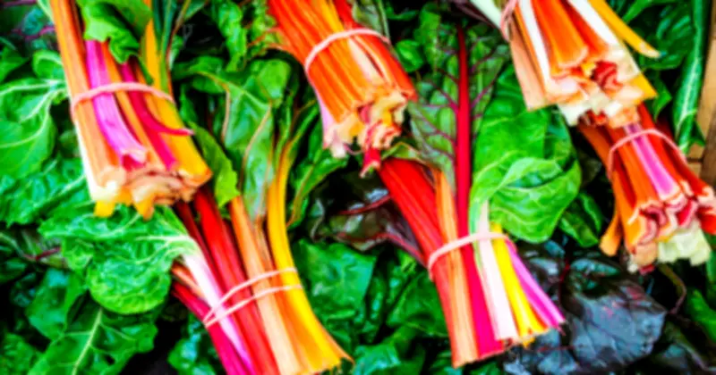 8 Loại Rau Xanh Giàu Magie Giúp Tăng Cường Sức Khỏe Toàn Diện