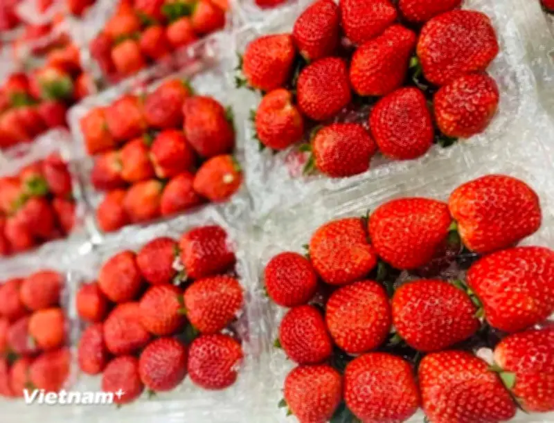 9 Loại Rau Quả Chứa Nhiều Dư Lượng Thuốc Trừ Sâu Nhất Cần Cảnh Giác