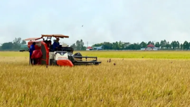 Agribank Dẫn Đầu Tài Trợ Xanh: Những 'Tế Bào' Đầu Tiên Của Nền Kinh Tế Carbon Tại Việt Nam